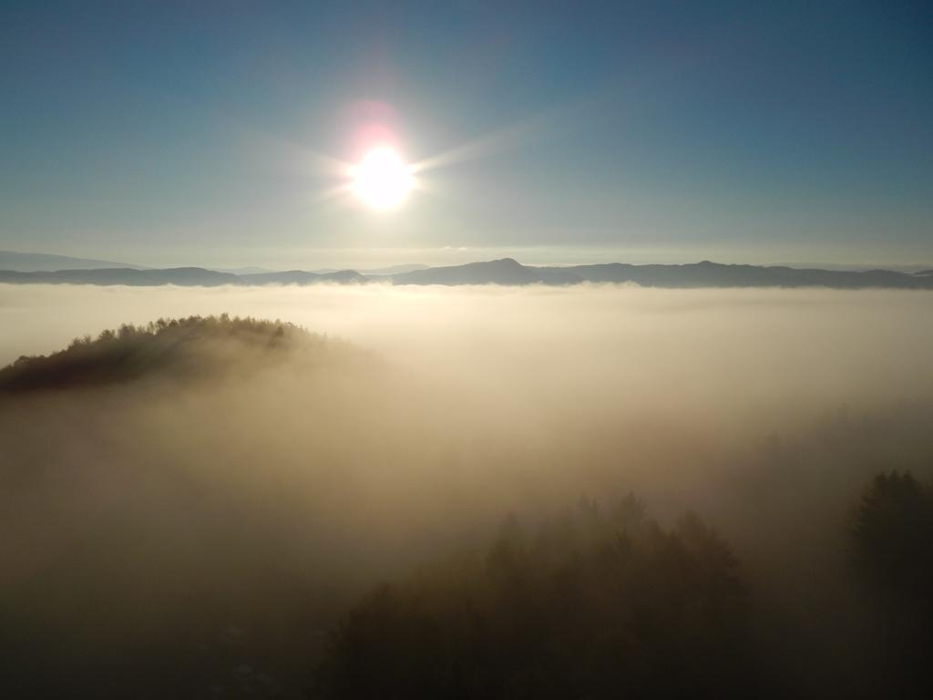 Shin Furano Prince Hotel Bagian luar foto Fog over the Black Forest